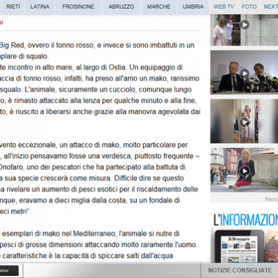 Messaggero2 Big
